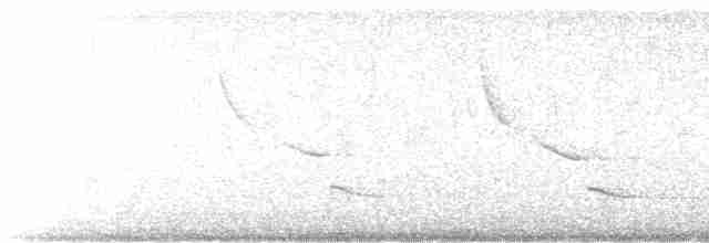 White-faced Ibis - ML618246451