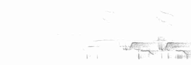 Каролинский крапивник - ML618246507