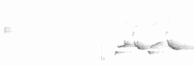 Тремблер прямодзьобий - ML618246515