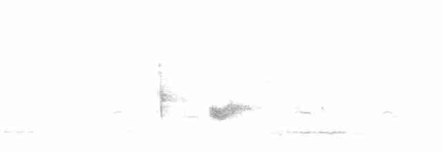 Kara Kanatlı Piranga - ML618246573
