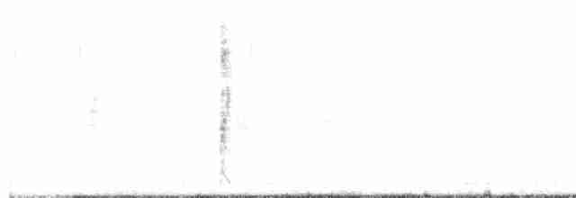 Североамериканская ласточка - ML618246826