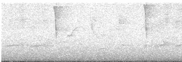 Kentucky Warbler - ML618249245