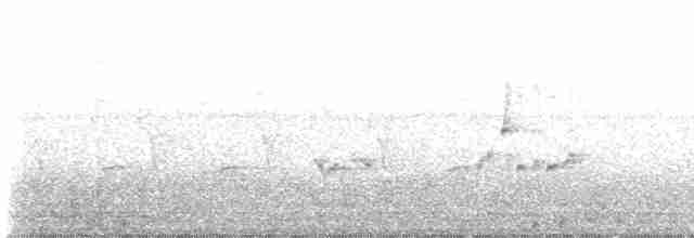 Каролинский крапивник - ML618250607