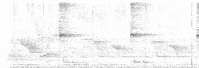 Bare-throated Whistler - ML618251169