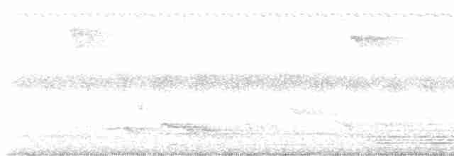 Зозуля білогорла - ML618251349