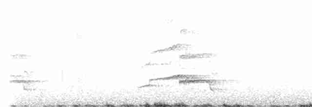 kivi jižní (ssp. lawryi) - ML618251683