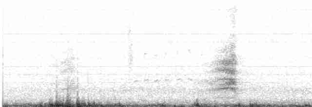 裏海燕鷗 - ML618251759