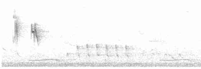 hrdlička kropenatá - ML618252148