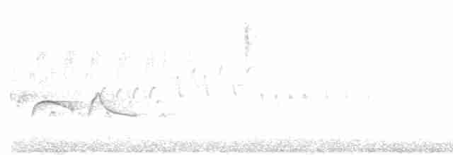 Olivflanken-Schnäppertyrann - ML618252317