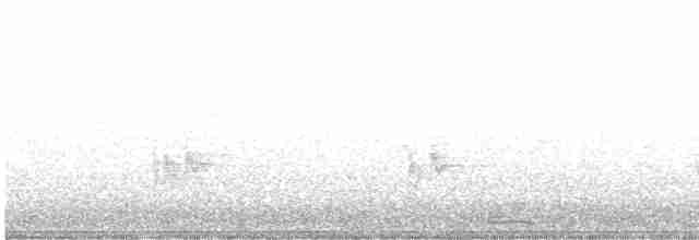 Желтоплечая пиранга - ML618252465