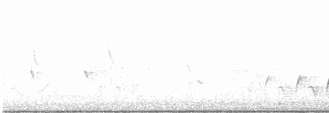 Mangrove Whistler - ML618253071