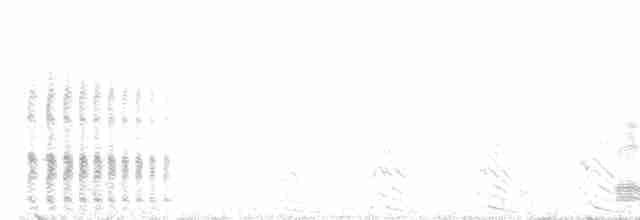 bělokur rousný - ML618253567