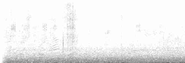 ニシイワツバメ（urbicum／meridionale） - ML618253864