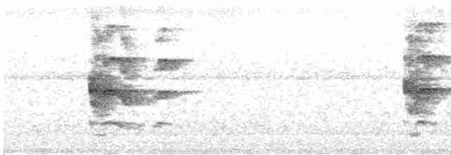 Дятел-куцохвіст чорночубий - ML618254149
