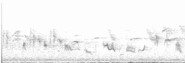 Gartengrasmücke - ML618255208