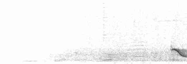 Kara Başlıklı Kıvrıkgaga - ML618255406