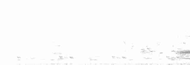 Белошейная веерохвостка - ML618255760