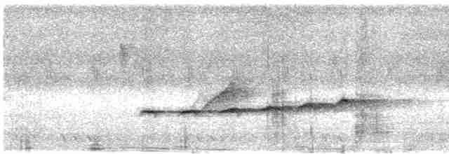 Вилохвостая дронговая кукушка - ML618256916