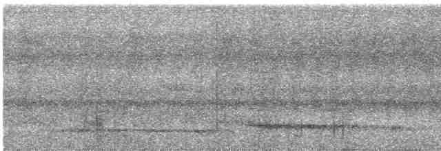 Серый павлиний фазан - ML618257059