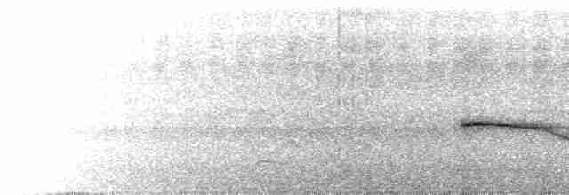 Long-billed Wren-Babbler - ML618257301