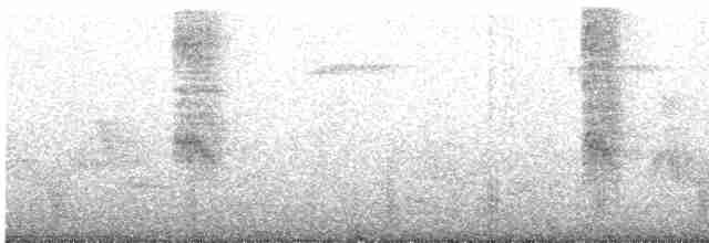 Vireo de Noronha - ML618258974