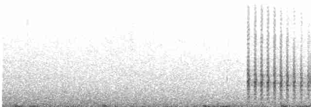 黑玄燕鷗 - ML618259302