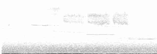 Желтокрылая x Голубокрылая червеедка (гибрид) - ML618259570