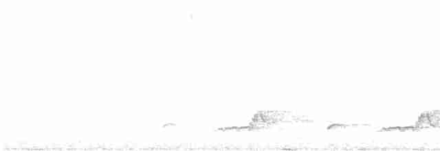 Schwarzkehl-Nachtschwalbe - ML618259604