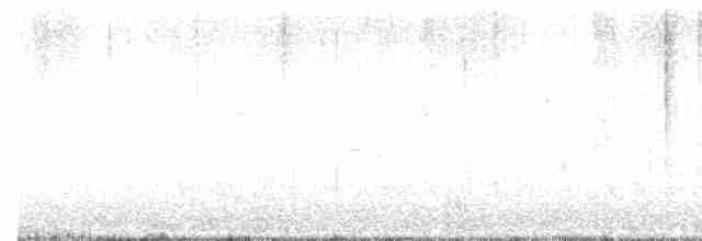 Дрізд-короткодзьоб плямистоволий - ML618259999