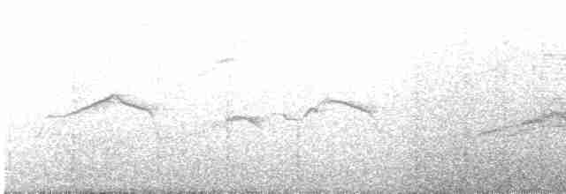 Крячок атоловий - ML618260103