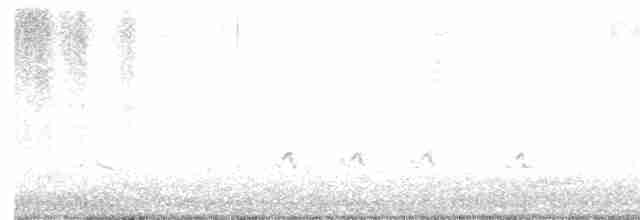 Sinsonte Norteño - ML618260232