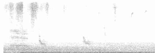 Sinsonte Norteño - ML618260367