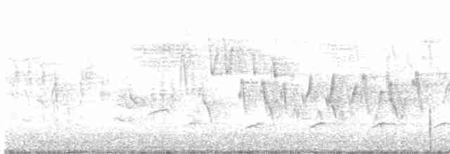 Cerulean Warbler - ML618261193