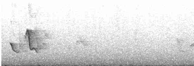 Vireo de Noronha - ML618261791