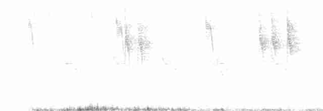 Gray Wagtail - ML618262417