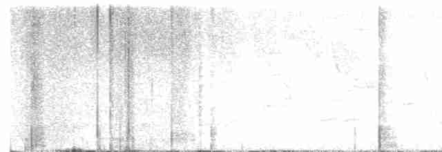 Cerulean Warbler - ML618263114