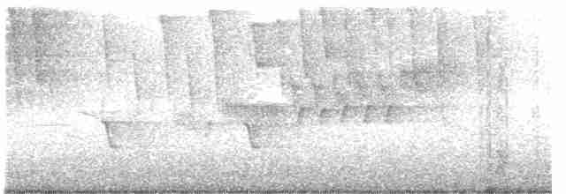 Cerulean Warbler - ML618263252
