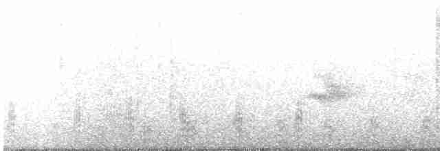 Gygis blanche - ML618263336