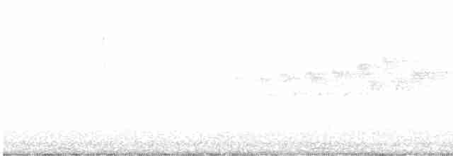 Black-throated Gray Warbler - ML618263729