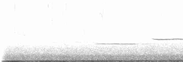 גיבתונית לבנת-גרון - ML618263788