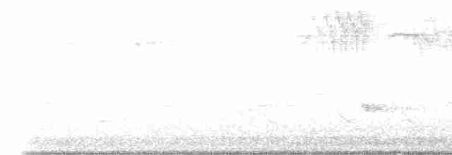 Червоїд сіроголовий - ML618264091