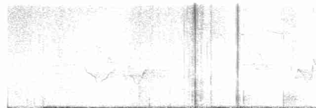 Cerulean Warbler - ML618264444
