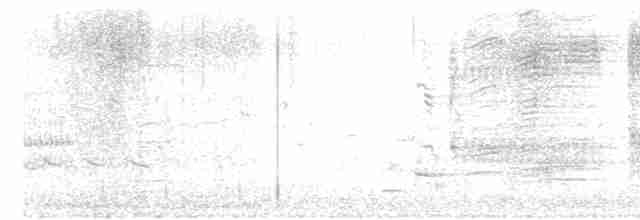 Kuliska hankahori handia - ML618265314