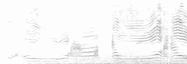 buřňák šedý (ssp. diomedea) - ML618265466