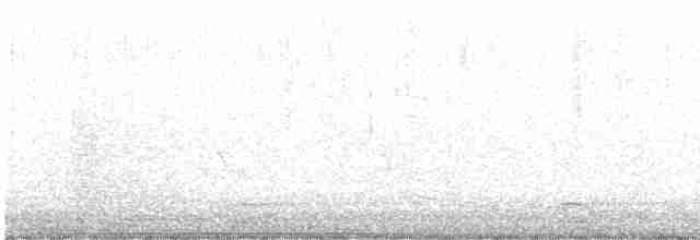 Каролинский крапивник - ML618266014