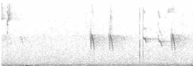 "Шишкар ялиновий (Western Hemlock, або тип 3)" - ML618266277