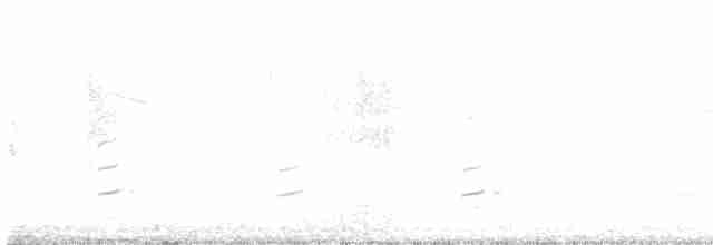 紅頭潛鴨 - ML618266608