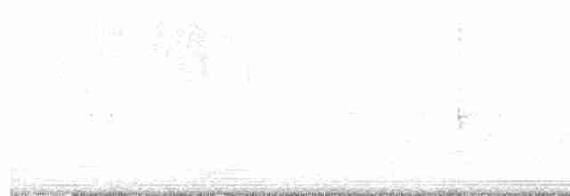 Blackpoll Warbler - ML618266922