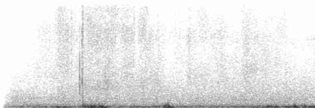Широкохвостый колибри - ML618267896