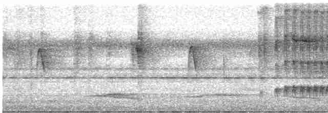 Тиран-інка буроголовий - ML618269800